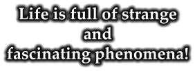 Life is full of strange and fascinating phenomena!